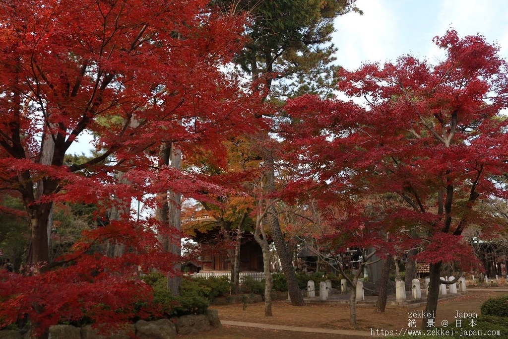 f:id:zekkei-japan:20181225044400j:plain f:id:zekkei-japan:20181225044400j:plain