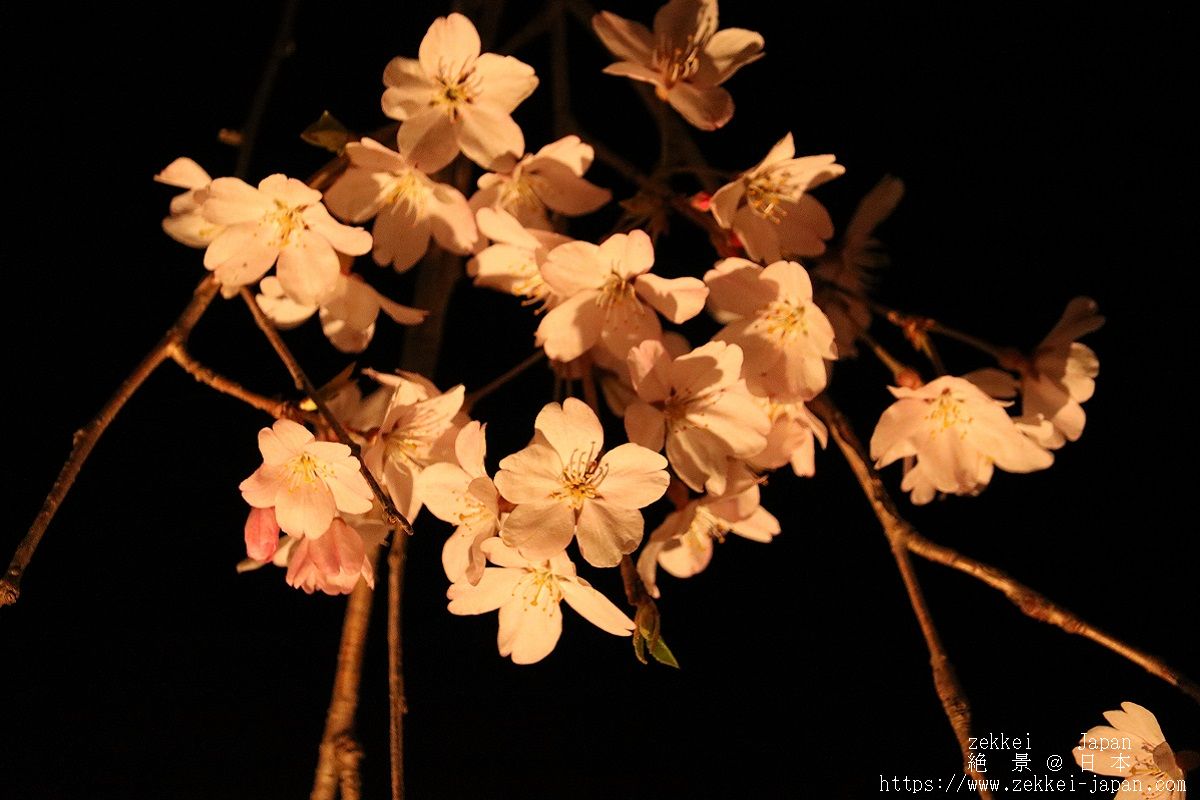f:id:zekkei-japan:20190326223647j:plain f:id:zekkei-japan:20190326223647j:plain