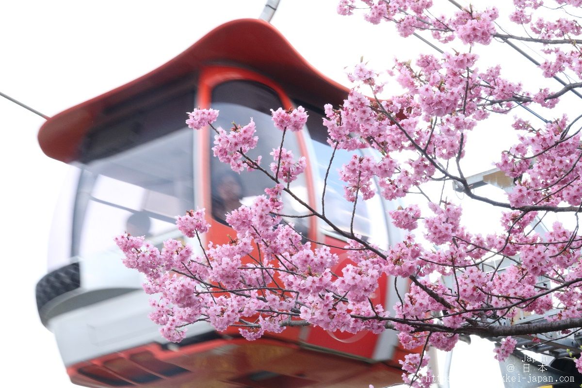 f:id:zekkei-japan:20190402223241j:plain f:id:zekkei-japan:20190402223241j:plain