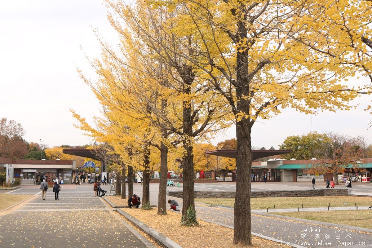 f:id:zekkei-japan:20190429074006j:plain f:id:zekkei-japan:20190429074006j:plain