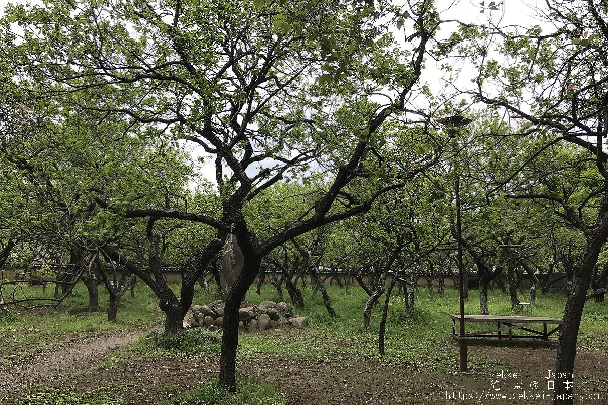 f:id:zekkei-japan:20190502183124j:plain f:id:zekkei-japan:20190502183124j:plain