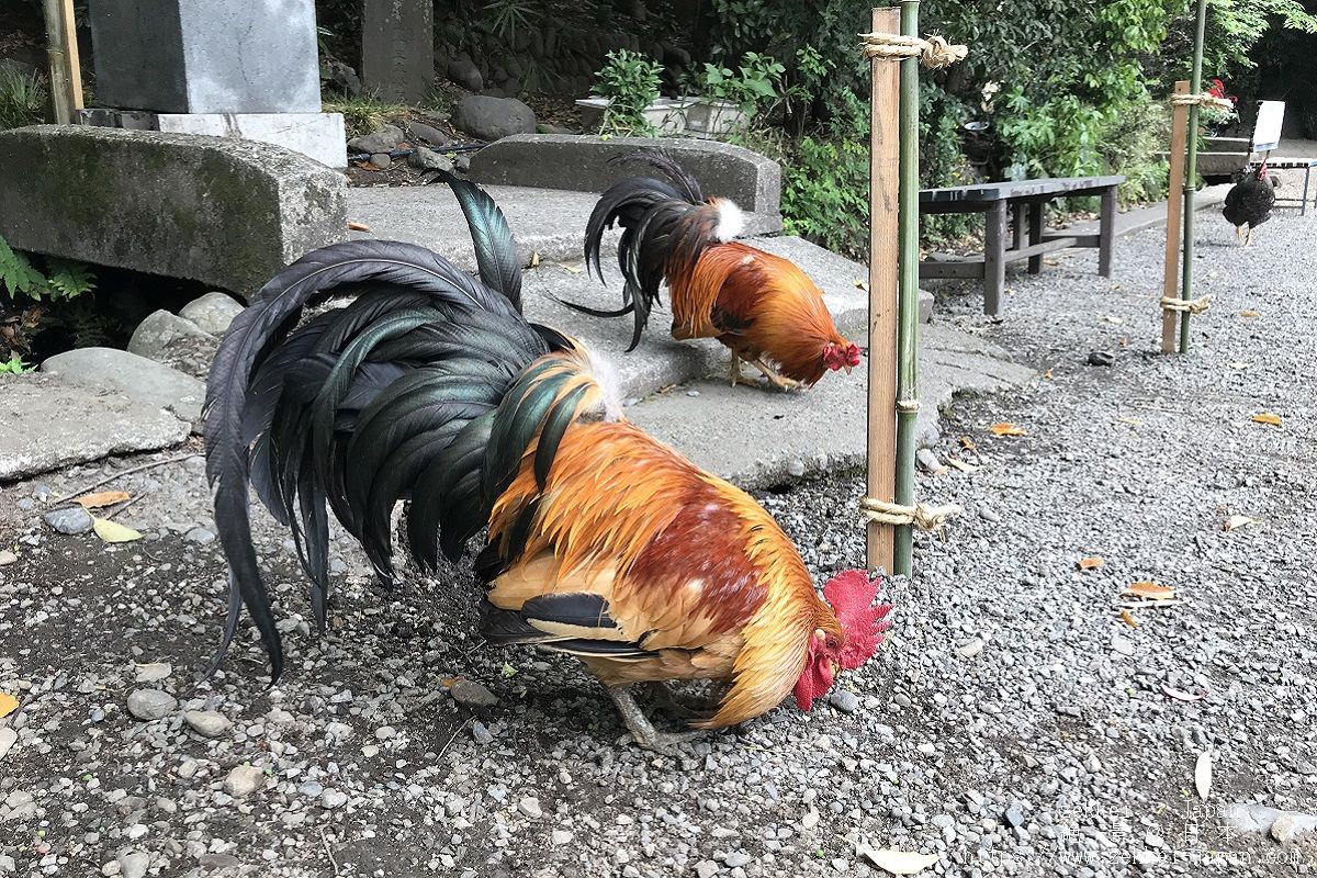 f:id:zekkei-japan:20190502183128j:plain f:id:zekkei-japan:20190502183128j:plain