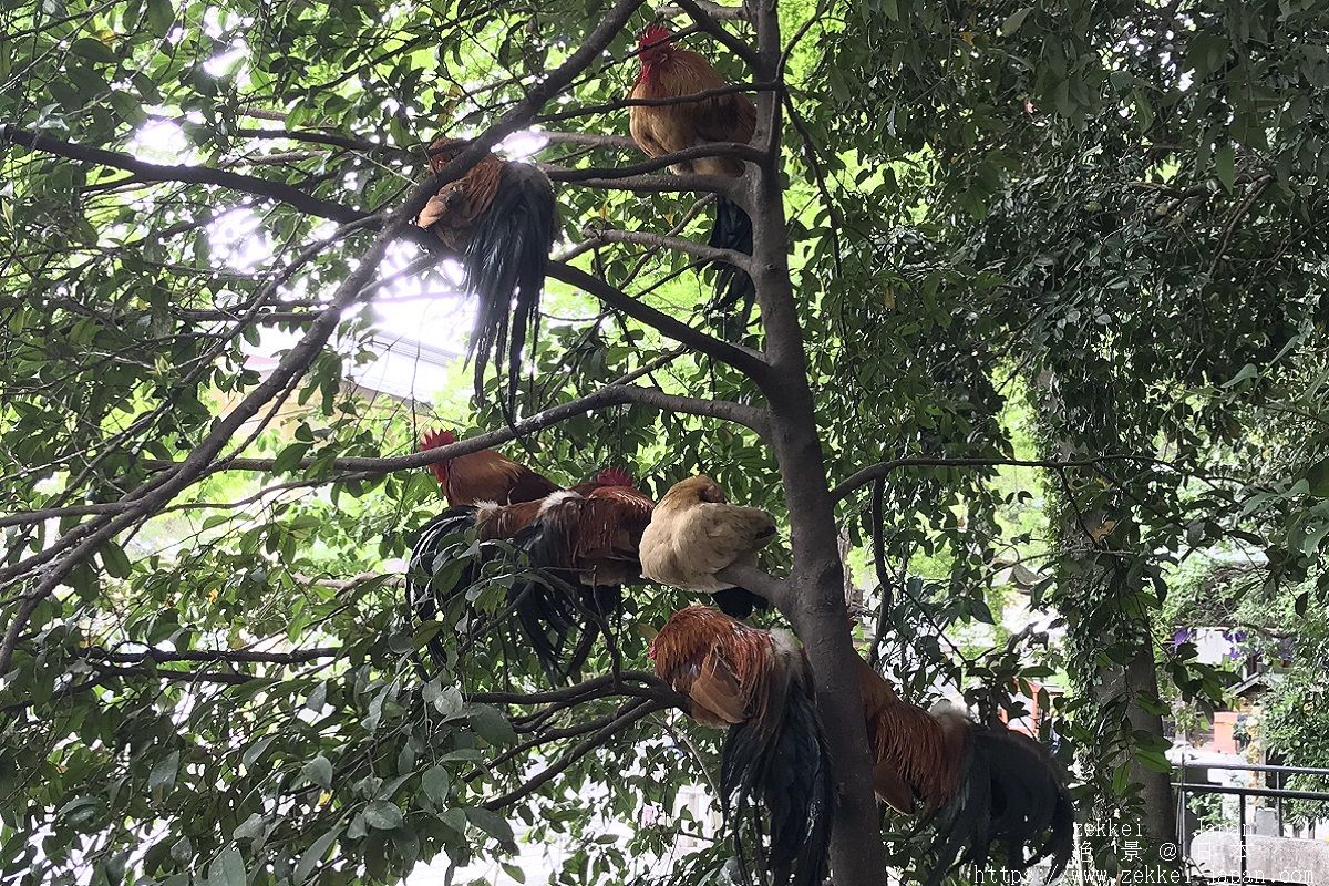 f:id:zekkei-japan:20190502183131j:plain f:id:zekkei-japan:20190502183131j:plain