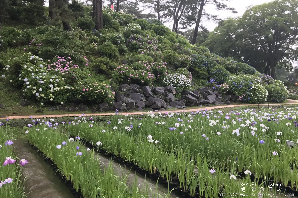 f:id:zekkei-japan:20190611230943j:plain f:id:zekkei-japan:20190611230943j:plain