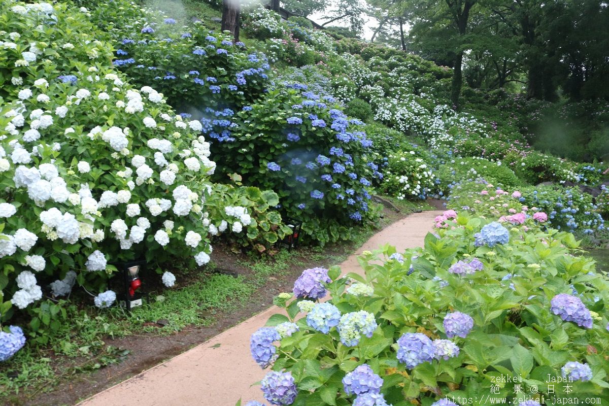 f:id:zekkei-japan:20190611230946j:plain f:id:zekkei-japan:20190611230946j:plain