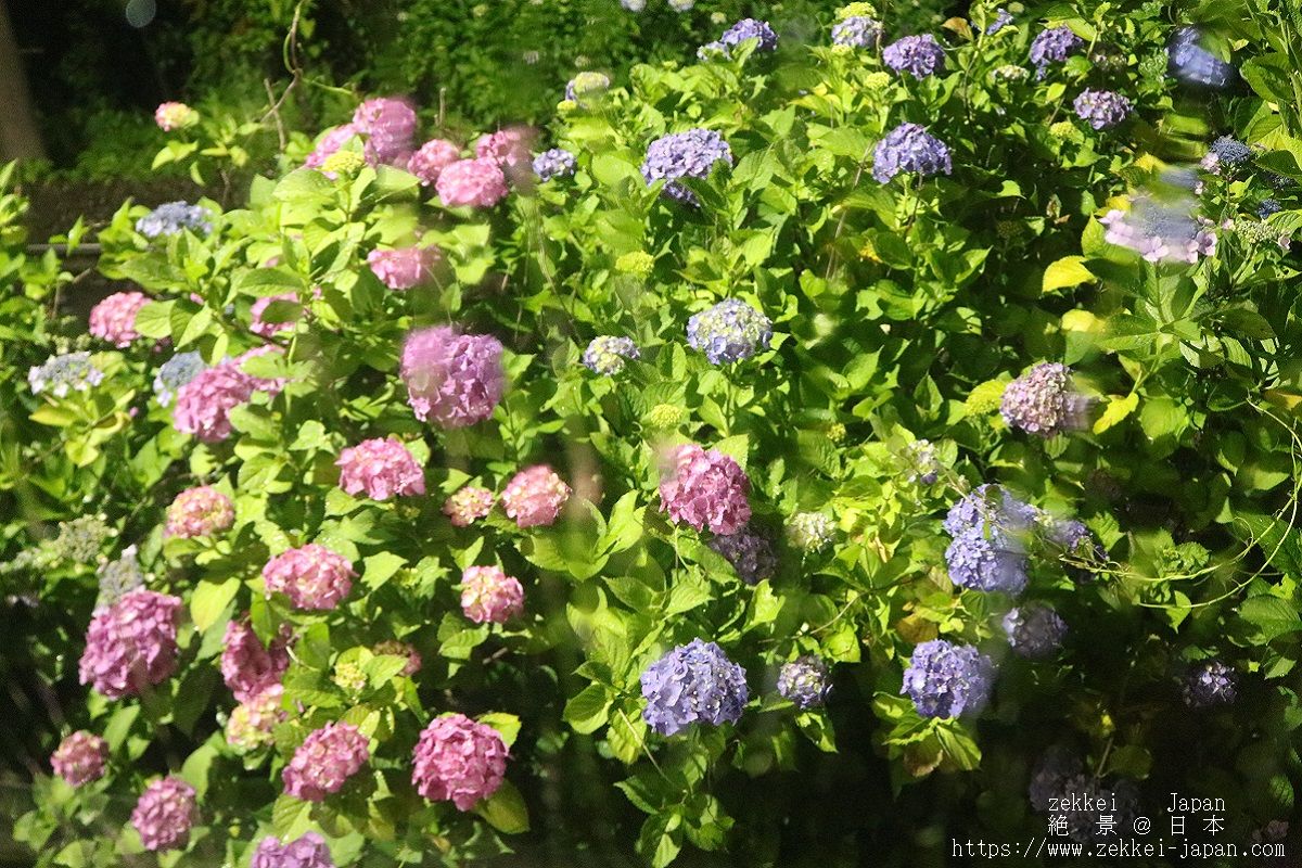 f:id:zekkei-japan:20190625233029j:plain f:id:zekkei-japan:20190625233029j:plain