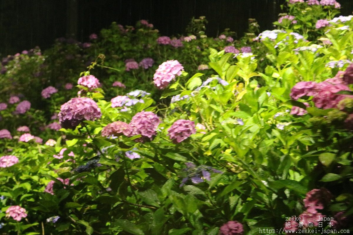 f:id:zekkei-japan:20190625233035j:plain f:id:zekkei-japan:20190625233035j:plain
