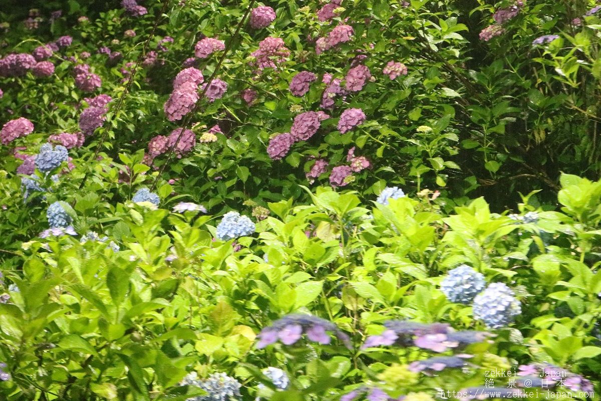 f:id:zekkei-japan:20190625233038j:plain f:id:zekkei-japan:20190625233038j:plain