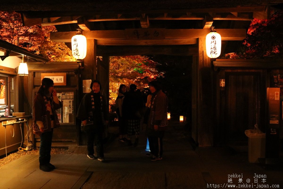 f:id:zekkei-japan:20190714071905j:plain f:id:zekkei-japan:20190714071905j:plain