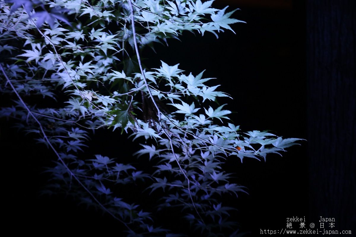 f:id:zekkei-japan:20190714164556j:plain f:id:zekkei-japan:20190714164556j:plain