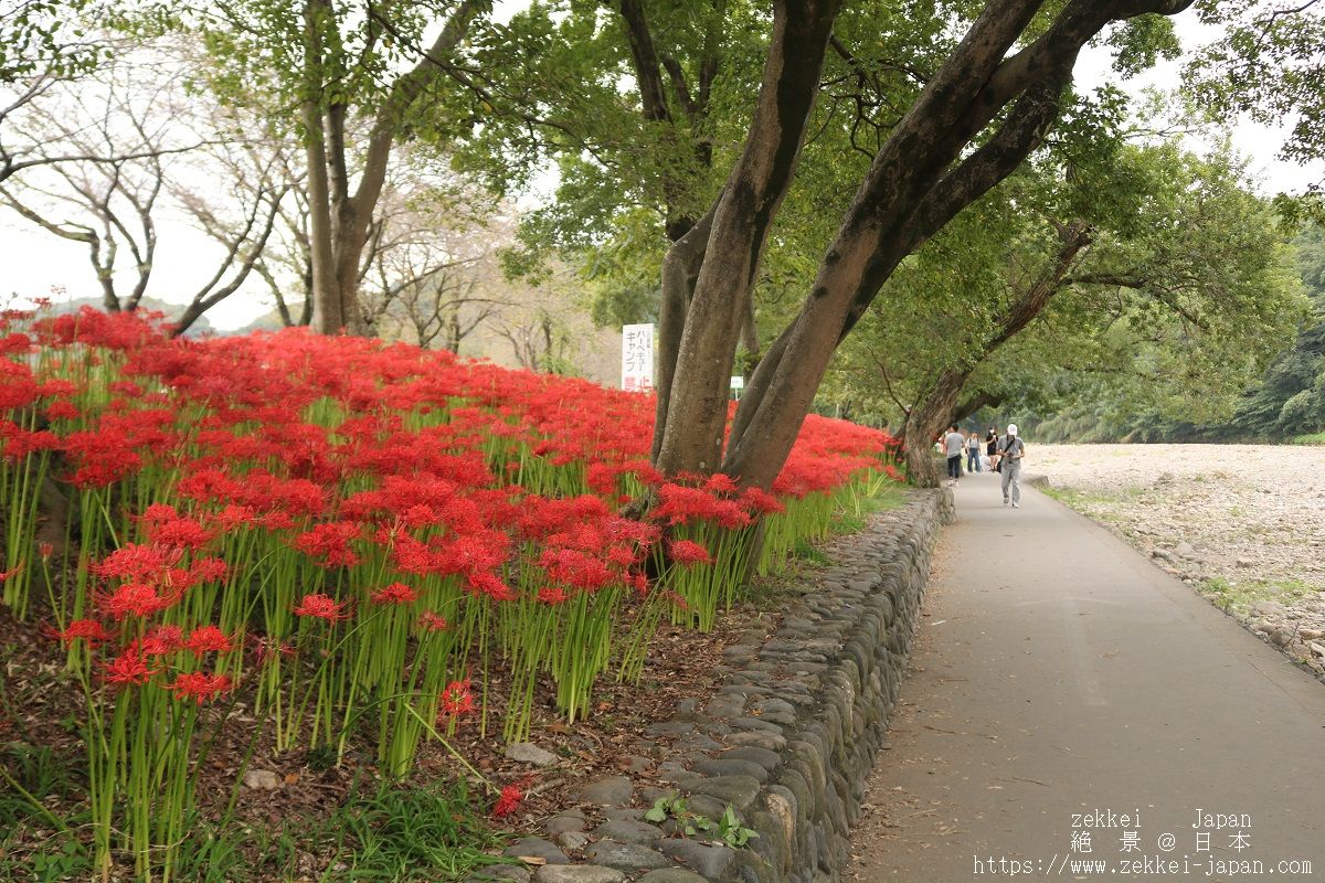 f:id:zekkei-japan:20191007132411j:plain f:id:zekkei-japan:20191007132411j:plain