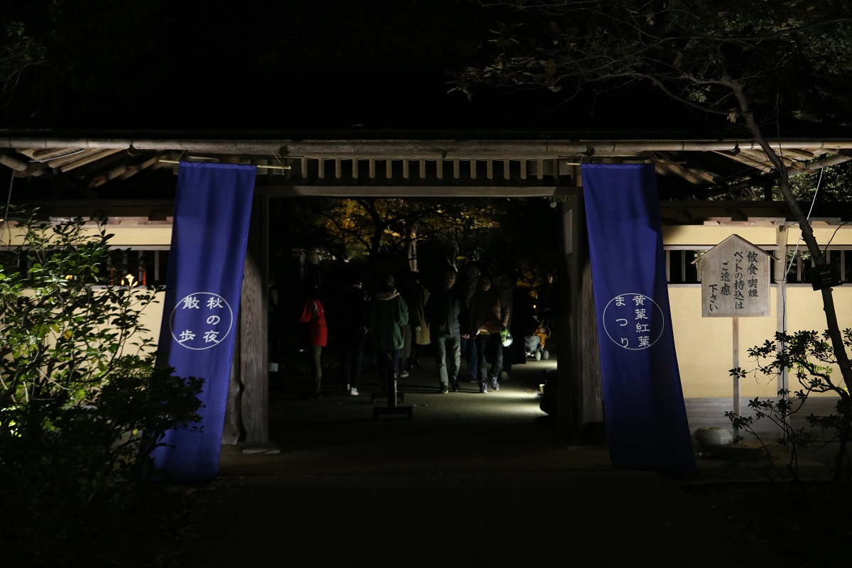 f:id:zekkei-japan:20191120215601j:plain f:id:zekkei-japan:20191120215601j:plain