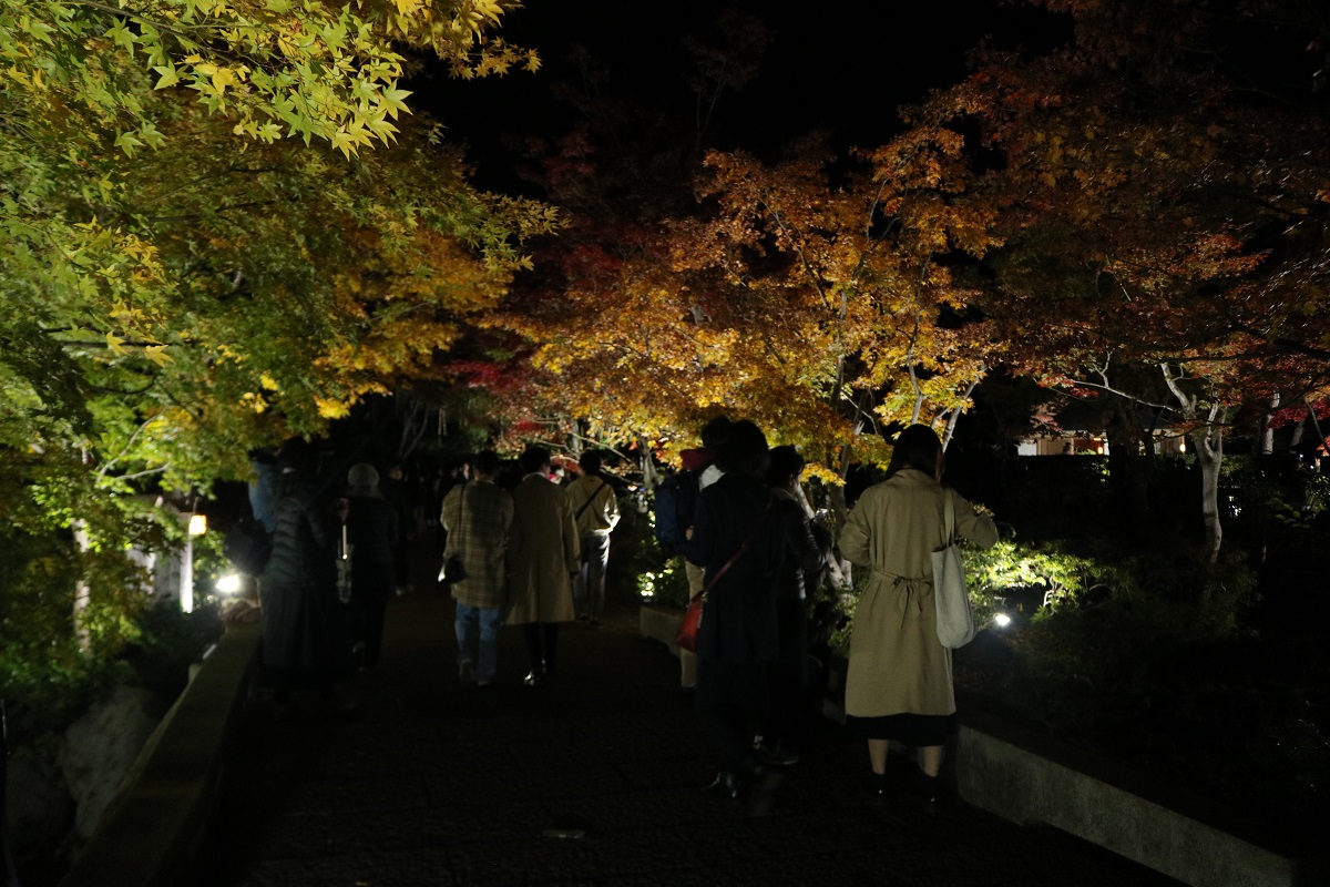 f:id:zekkei-japan:20191120215605j:plain f:id:zekkei-japan:20191120215605j:plain