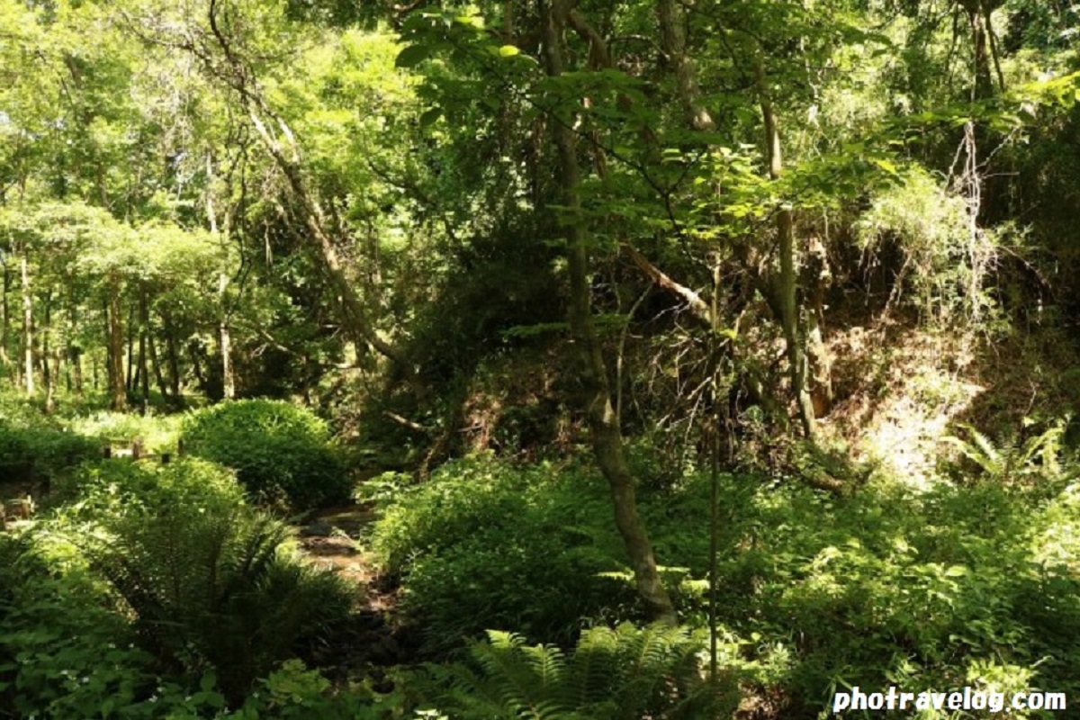 f:id:zekkei-japan:20210523211618j:plain