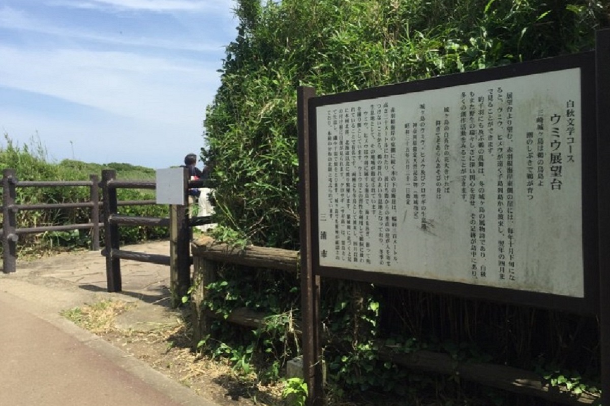 f:id:zekkei-japan:20210611213218j:plain