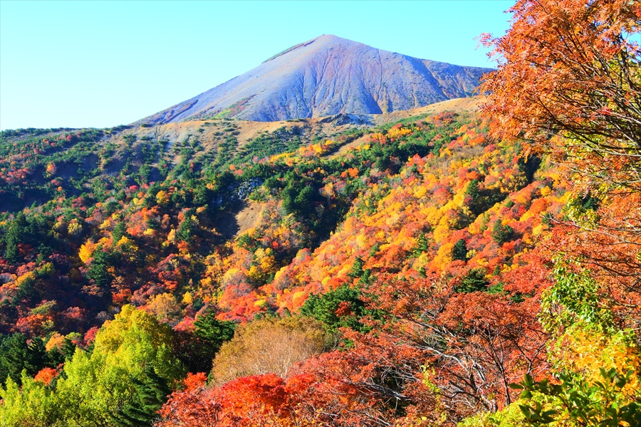 f:id:zekkeiblog2015:20161020083436j:plain