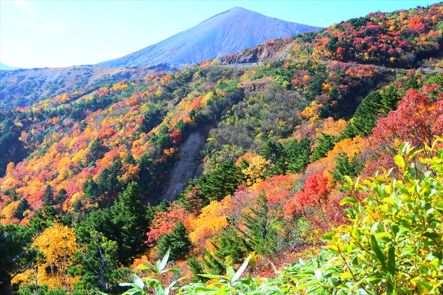 f:id:zekkeiblog2015:20161020160812j:plain