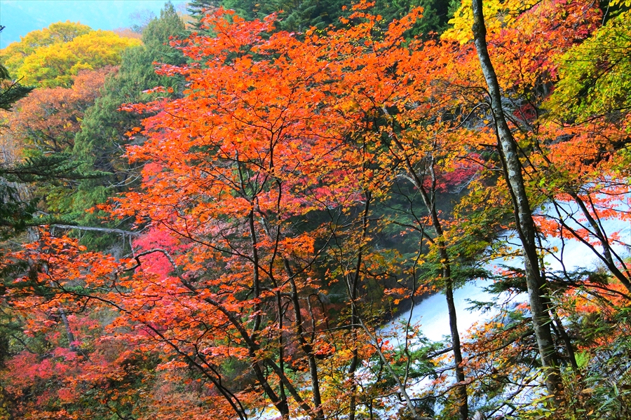 f:id:zekkeiblog2015:20161024111507j:plain