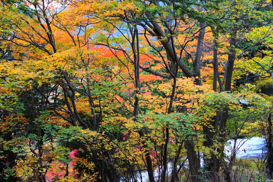 f:id:zekkeiblog2015:20161024112339j:plain