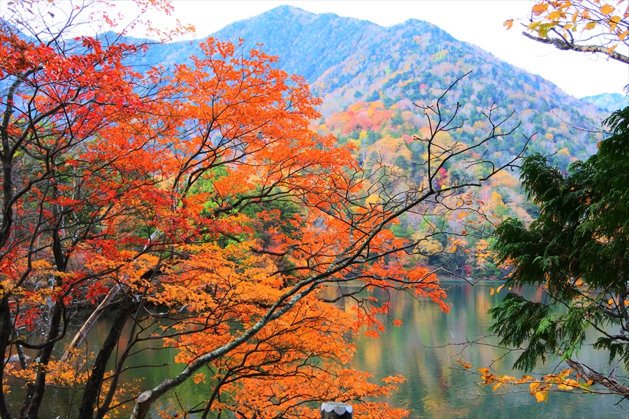 f:id:zekkeiblog2015:20161024114026j:plain