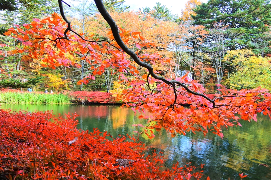 f:id:zekkeiblog2015:20161101172104j:plain
