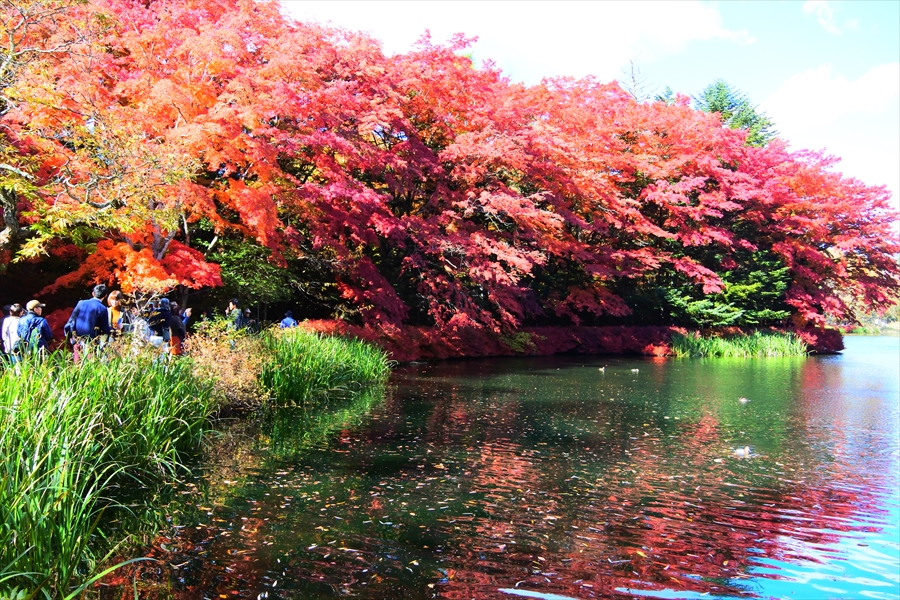 f:id:zekkeiblog2015:20161102131233j:plain