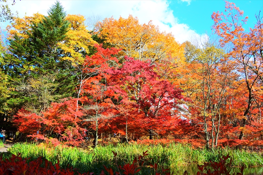 f:id:zekkeiblog2015:20161102132119j:plain