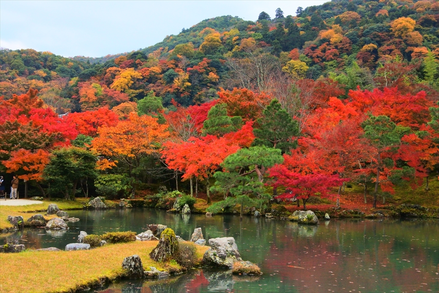 f:id:zekkeiblog2015:20161123180453j:plain