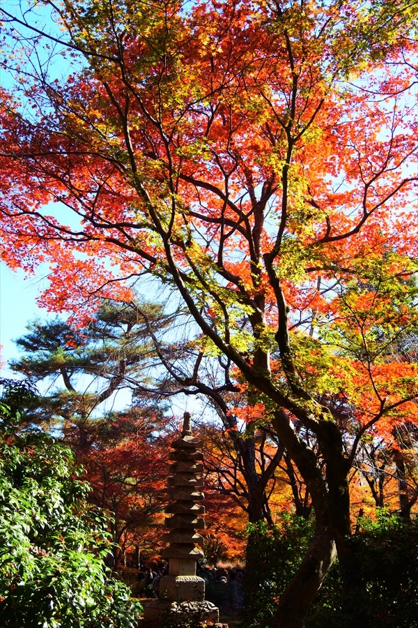 f:id:zekkeiblog2015:20161127214313j:plain