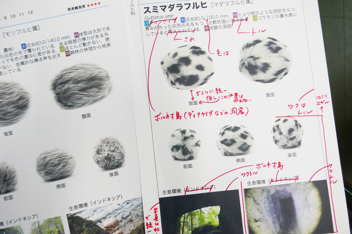 f:id:zekkohisajirou:20200614155931j:plain f:id:zekkohisajirou:20200614155931j:plain