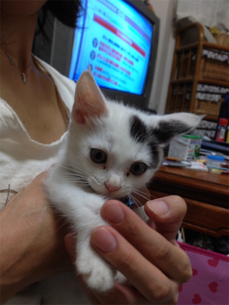f:id:zekkun-zekkun:20170117003725j:image