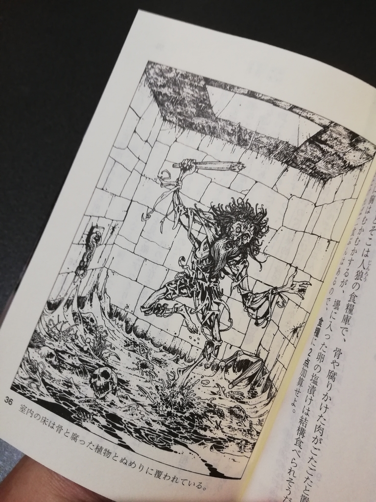 特集記事 昭和末期に数々の名作を産み出し 一大ブームを巻き起こしたゲームブックの魅力を語る ファイティング ファンタジー ソーサリー スーパーアドベンチャーゲーム 名作 おすすめ サブカルチャーのある生活