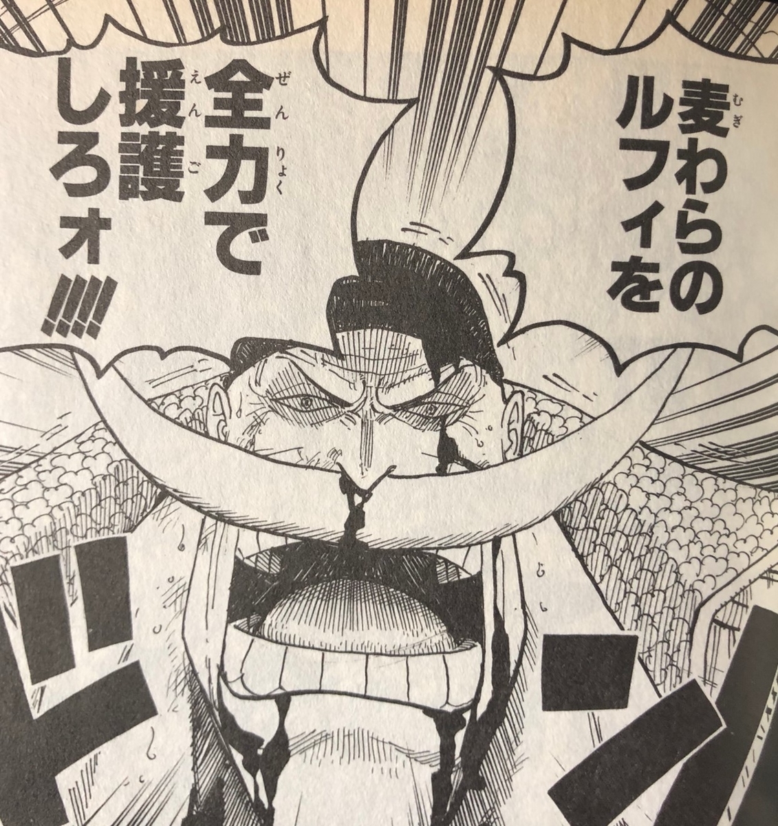 ワンピース 英語 58巻 ゼル王