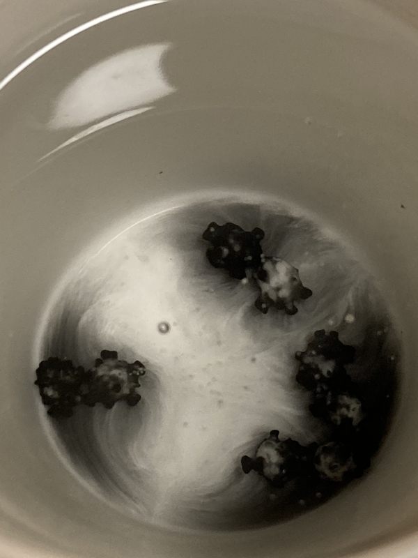 f:id:zeluigi_k:20210908113535j:plain