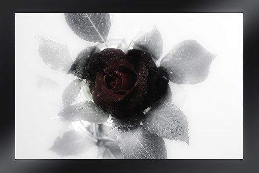 f:id:zen-ryujo:20170112001538j:plain f:id:zen-ryujo:20170112001538j:plain