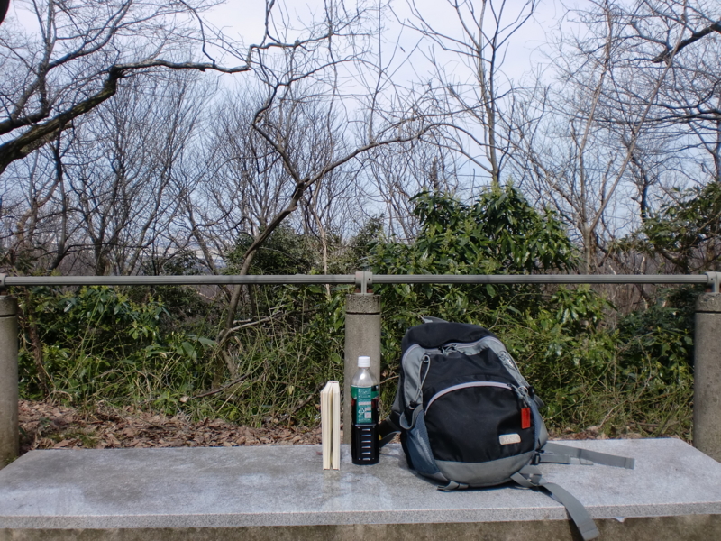 f:id:zen_chi:20150328104326j:image