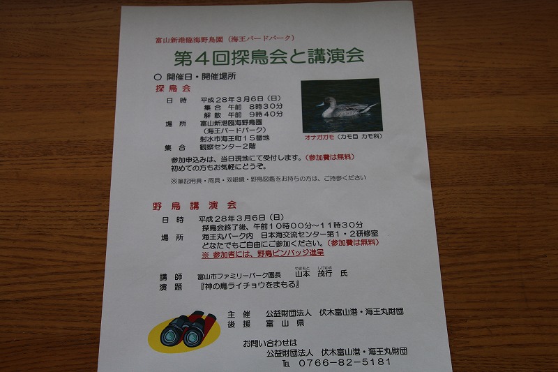 f:id:zen_chi:20160307003806j:image f:id:zen_chi:20160307003806j:image