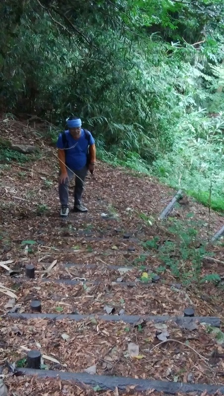 f:id:zen_chi:20190922161401j:plain