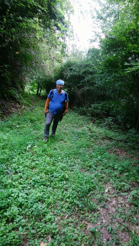 f:id:zen_chi:20190922161553j:plain