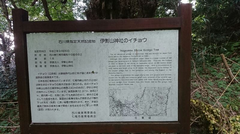 f:id:zen_chi:20190922161950j:plain