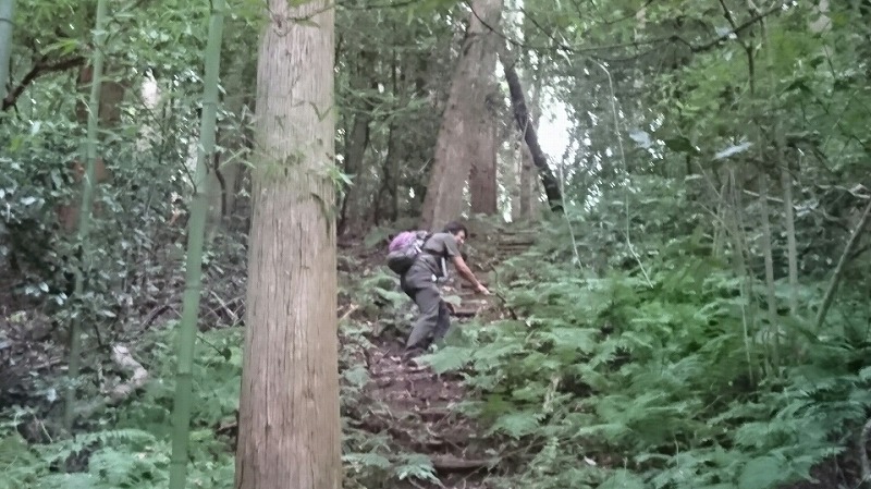 f:id:zen_chi:20190922162213j:plain