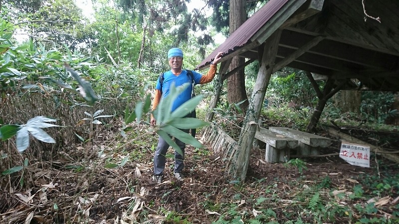 f:id:zen_chi:20190922162402j:plain