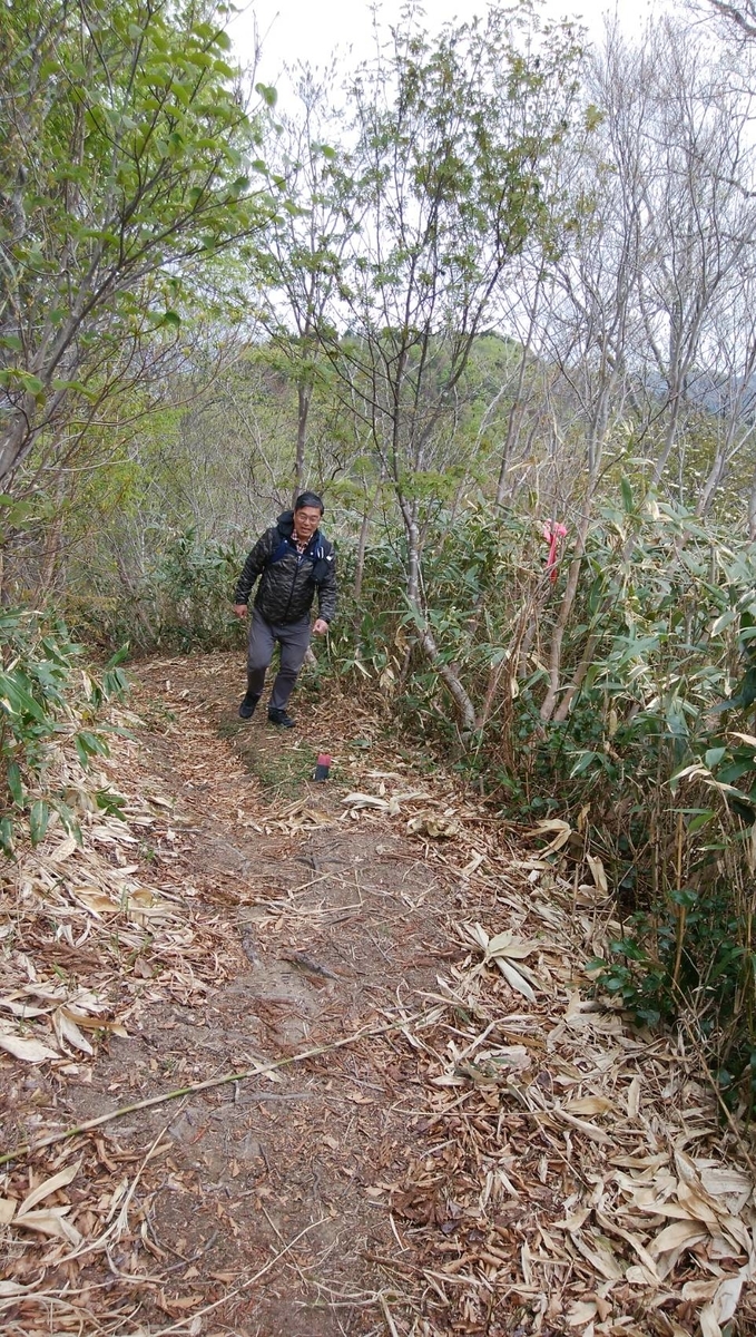 f:id:zen_chi:20200509164833j:plain