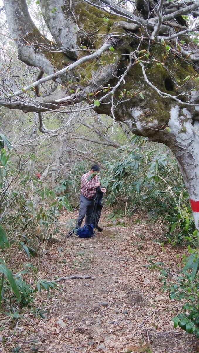 f:id:zen_chi:20200509164852j:plain