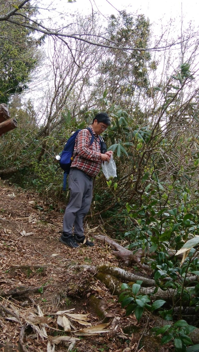 f:id:zen_chi:20200509164909j:plain