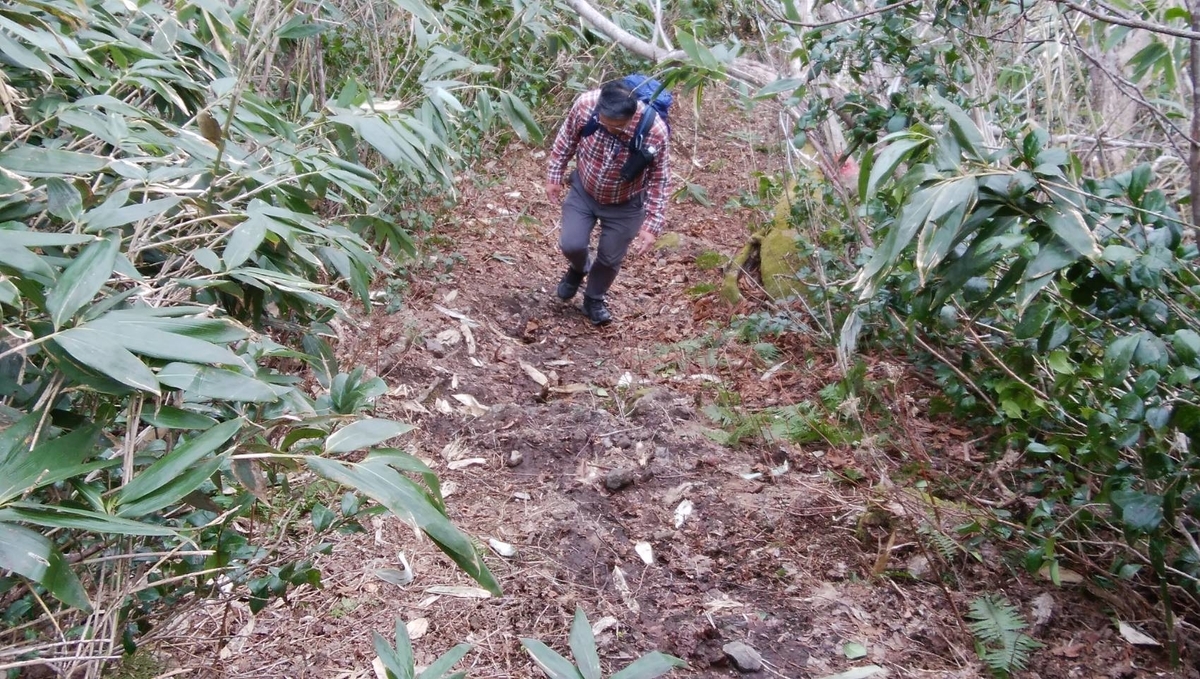 f:id:zen_chi:20200509164939j:plain