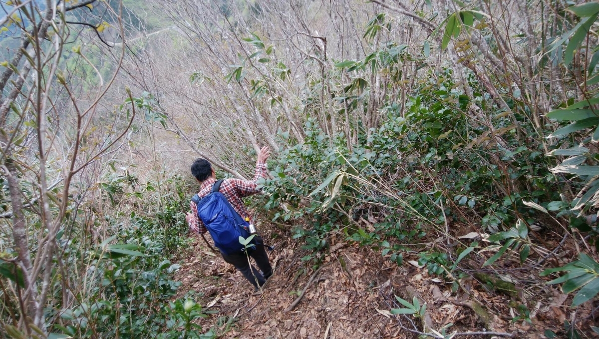 f:id:zen_chi:20200509164955j:plain