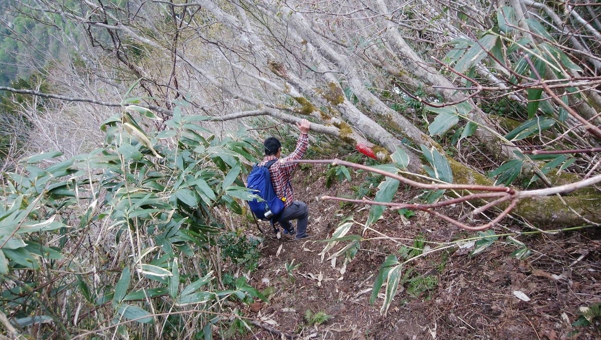 f:id:zen_chi:20200509165009j:plain