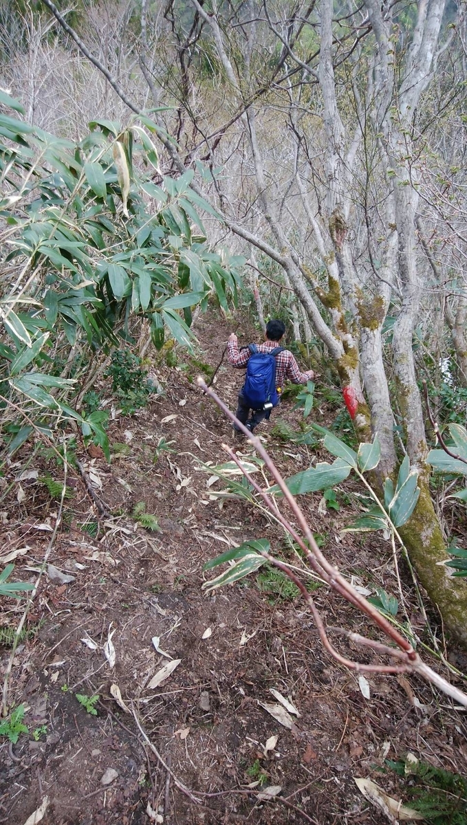 f:id:zen_chi:20200509165023j:plain