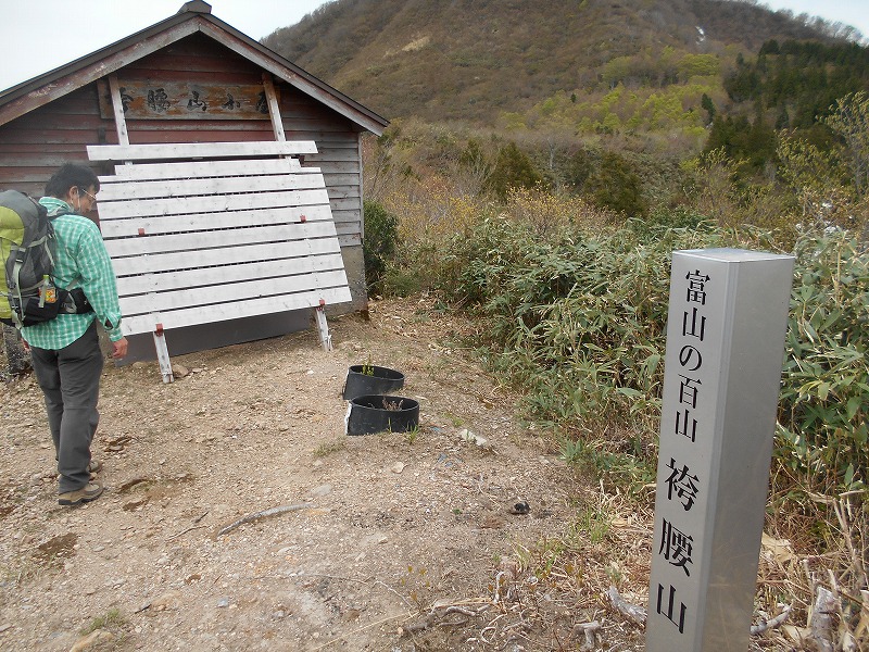 f:id:zen_chi:20200509165214j:plain